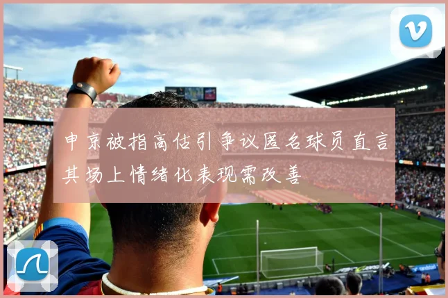申京被指高估引争议匿名球员直言其场上情绪化表现需改善