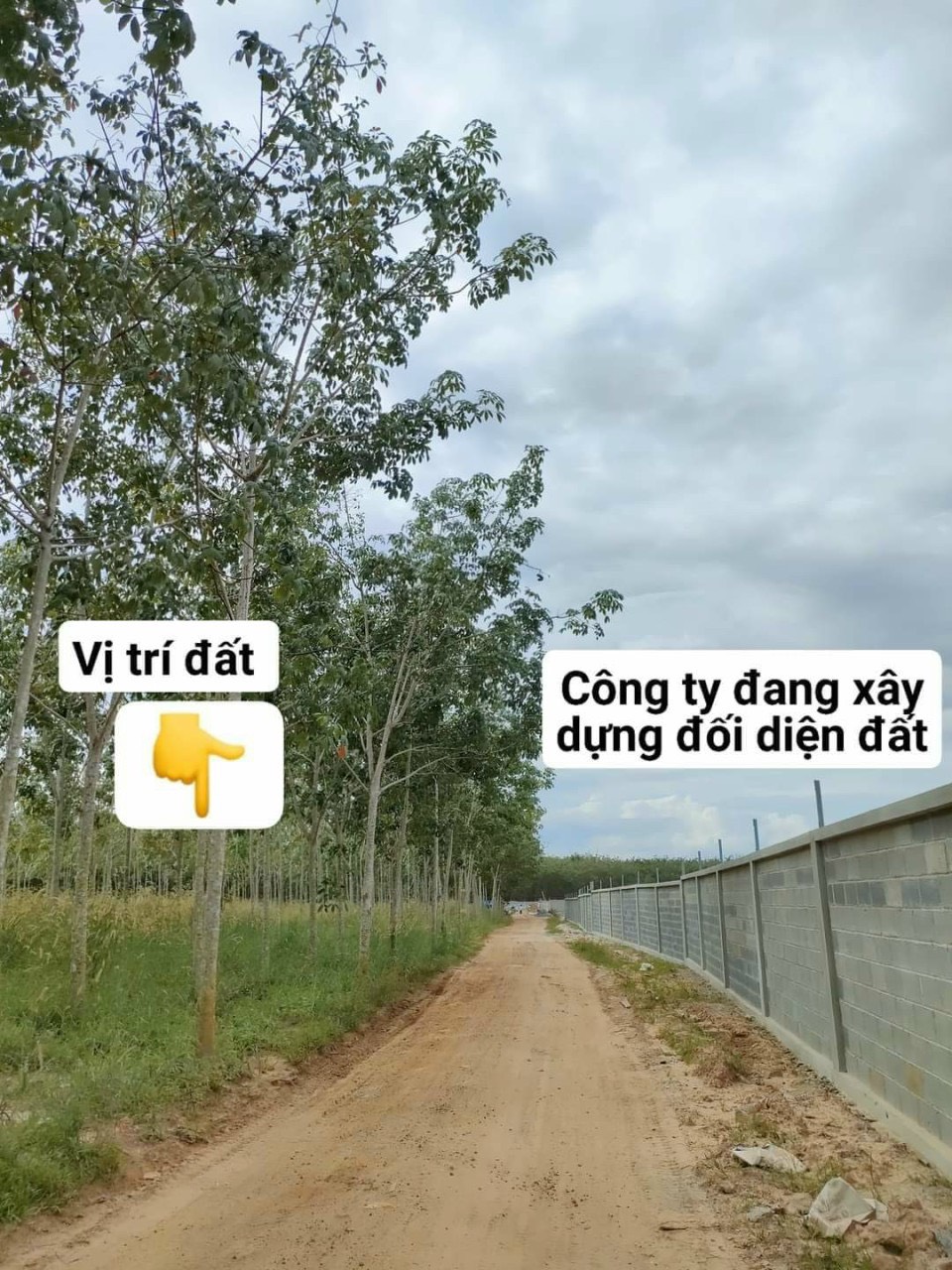 Bán lỗ về quê 380tr, đất Tân Biên, Tây Ninh